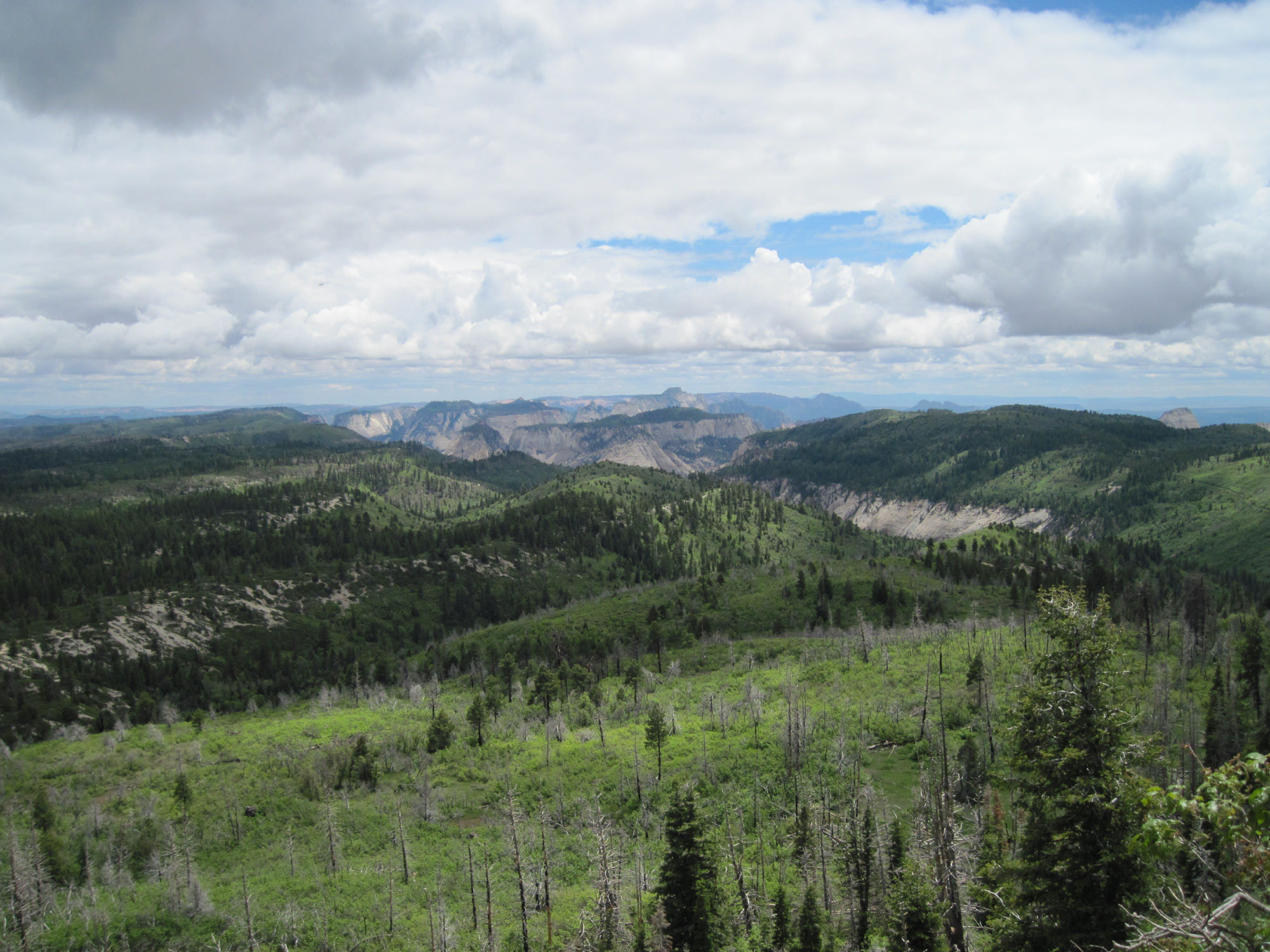 View from Lava Point